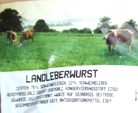 Gescheckte Hornschweine Gescheckte Hornschweine