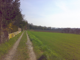 Die Pampa