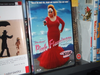 Pink Flamingos Pink Flamingos